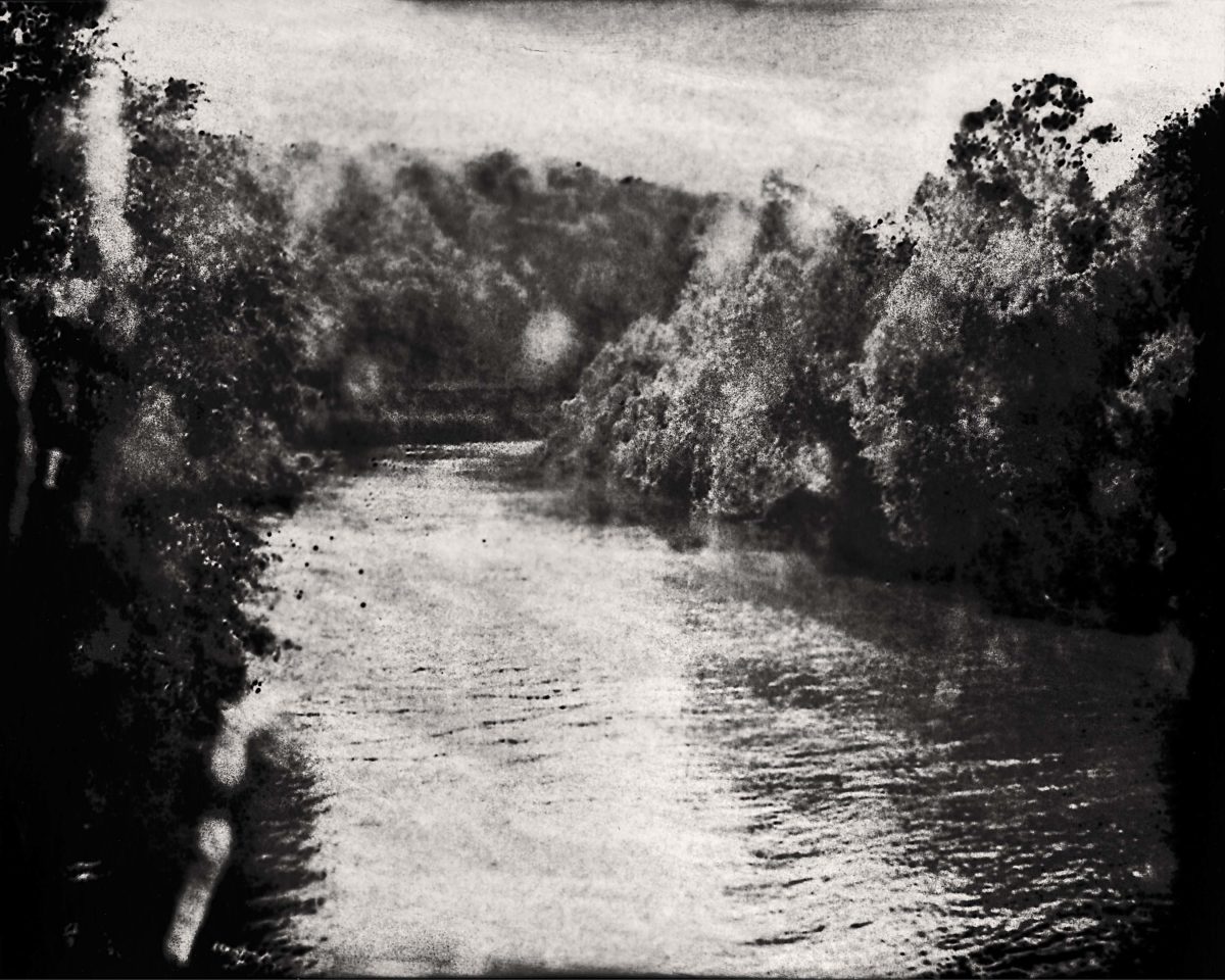 © Marcus DeSieno