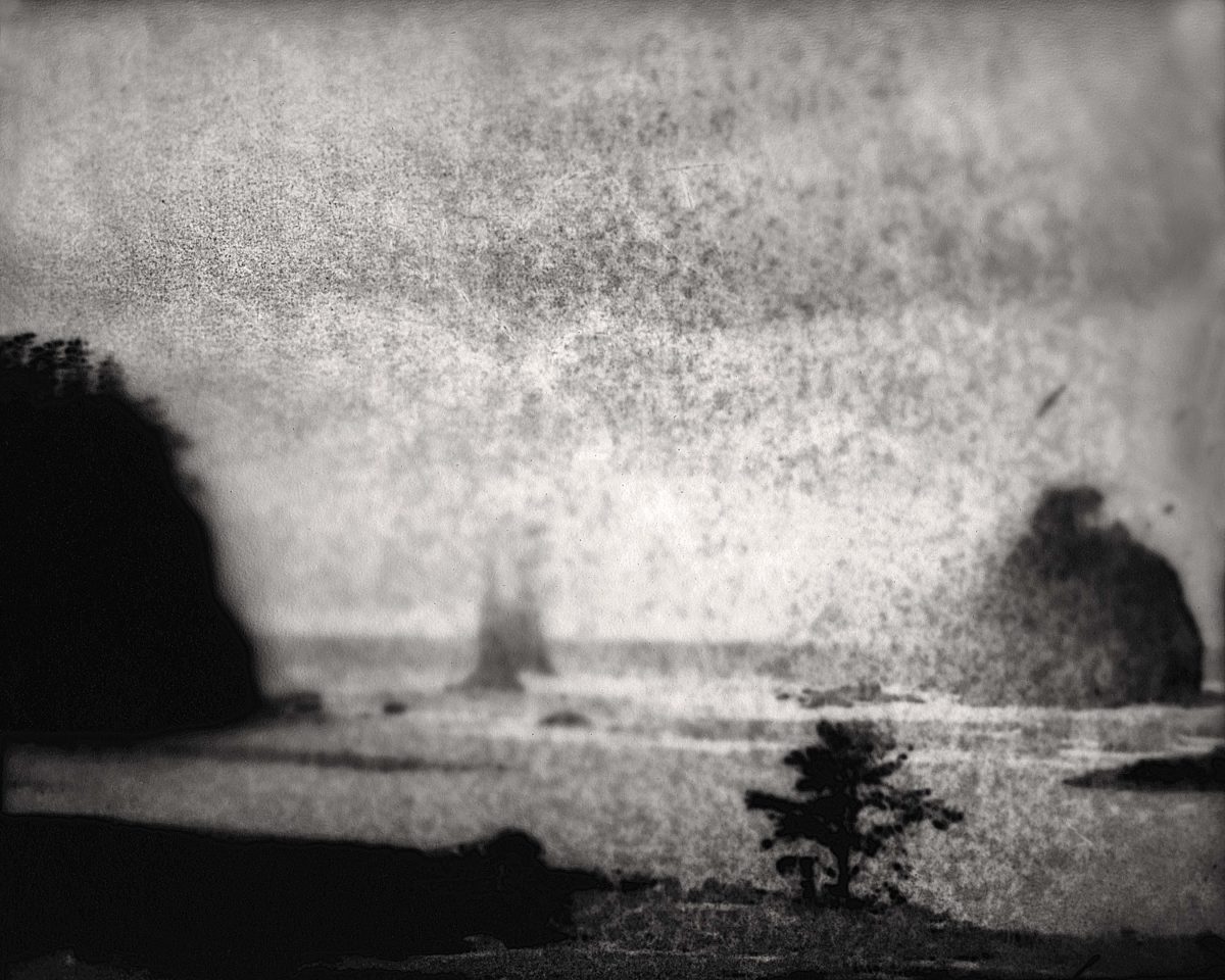 © Marcus DeSieno