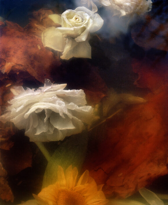 © Jocelyn Lee, Courtesy Pace/MacGill Gallery