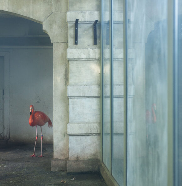 © Eric Pillot
