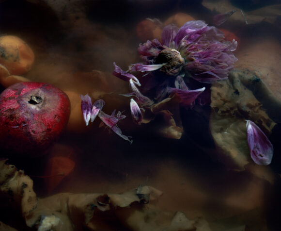 © Jocelyn Lee, Courtesy Pace/MacGill Gallery