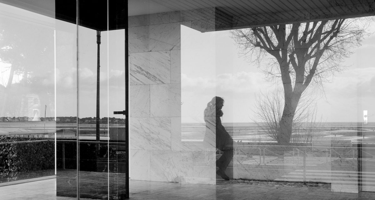 © Samuel Hense
