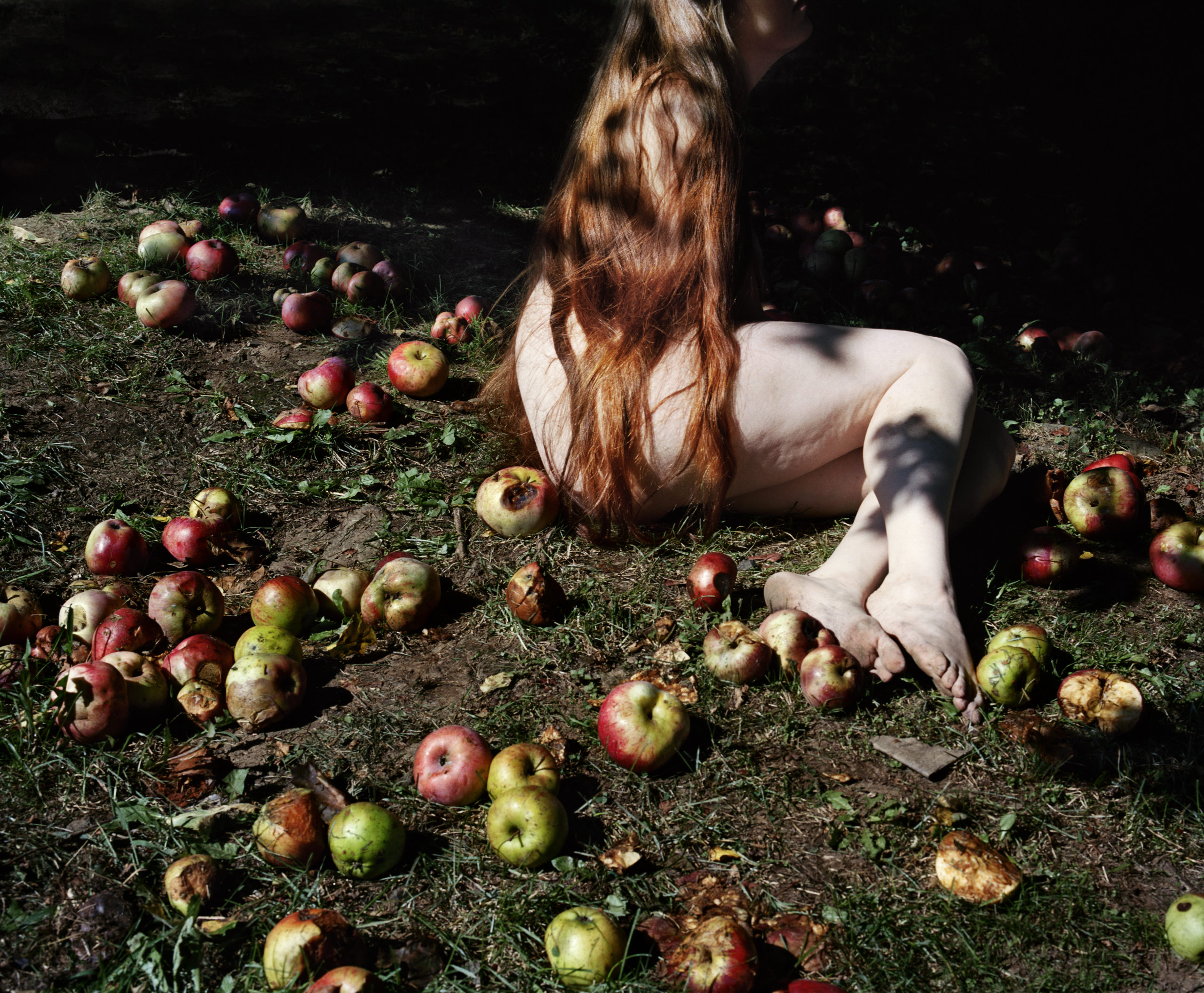 © Jocelyn Lee, Courtesy Pace/MacGill Gallery