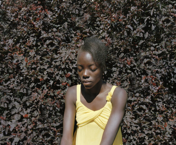 © Jocelyn Lee, Courtesy Pace/MacGill Gallery