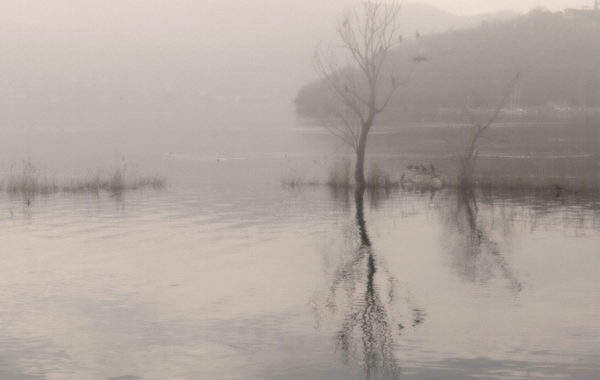 © Costanza Gastaldi