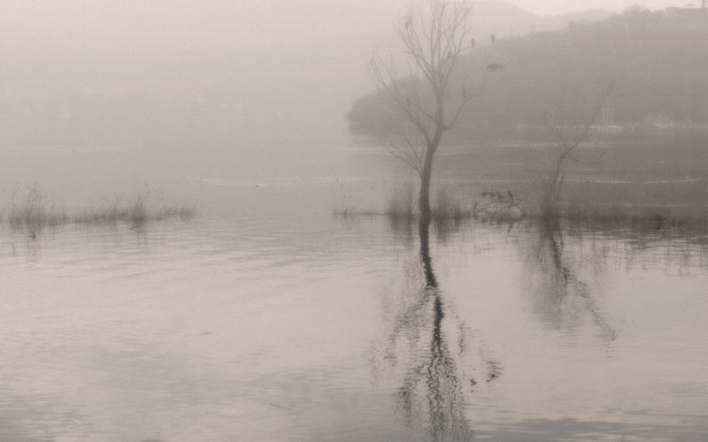 © Costanza Gastaldi