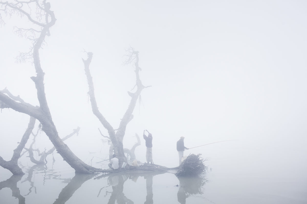 © Sarker Protick