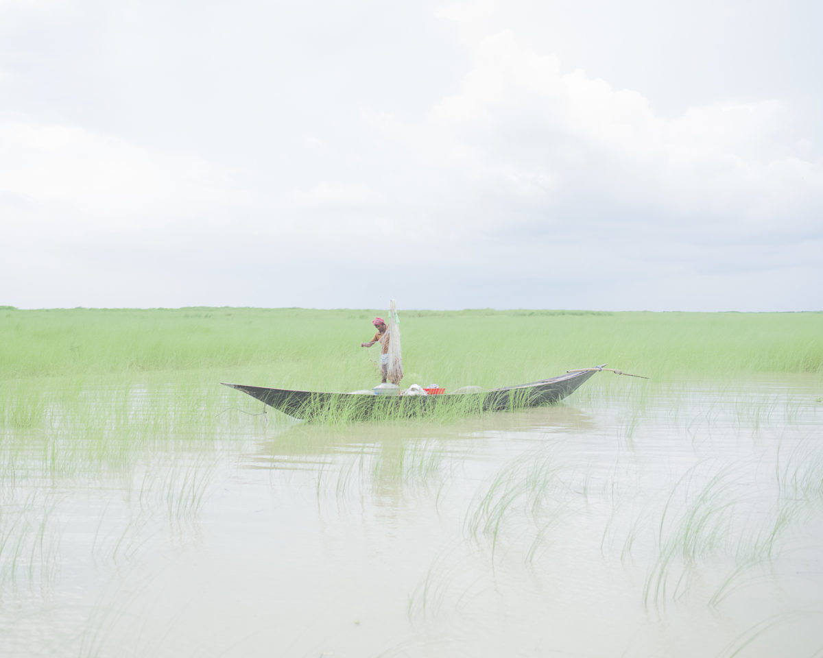 © Sarker Protick
