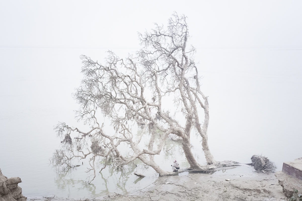 © Sarker Protick