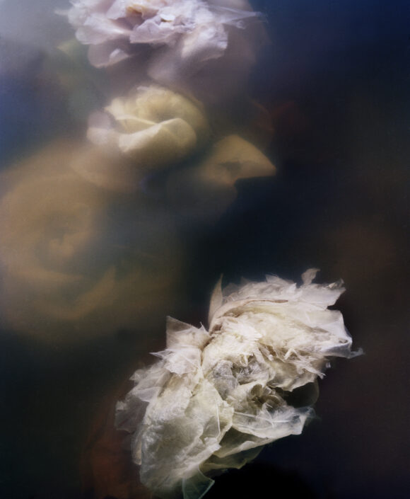 © Jocelyn Lee, Courtesy Pace/MacGill Gallery
