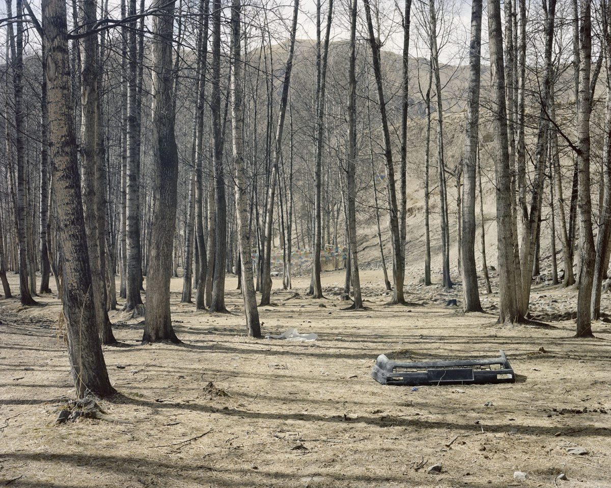 © Yan Wang Preston