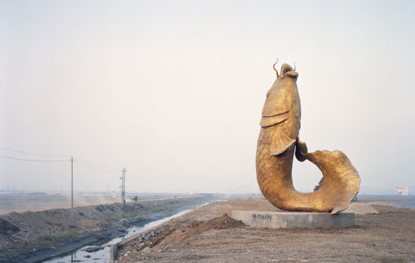 © Yan Wang Preston