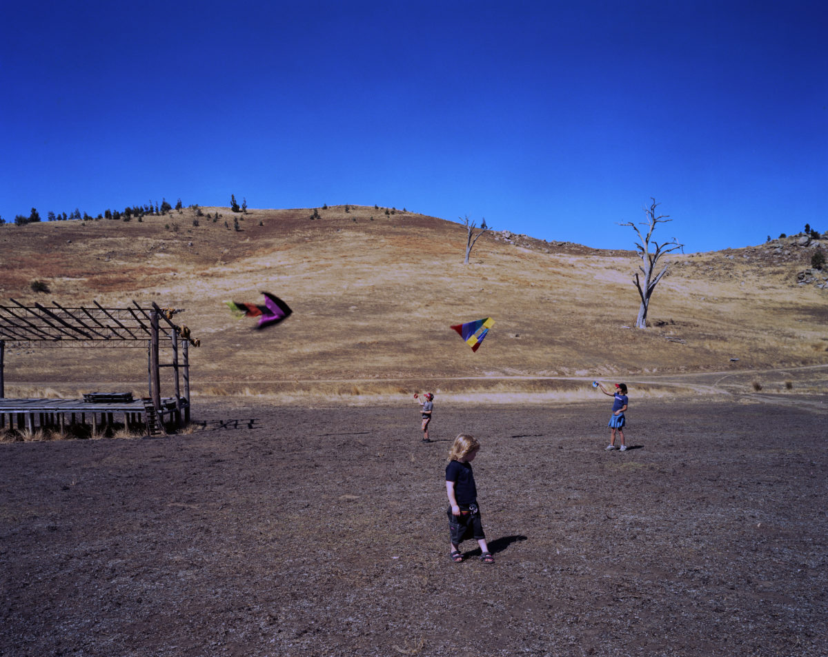 © Donna Bailey