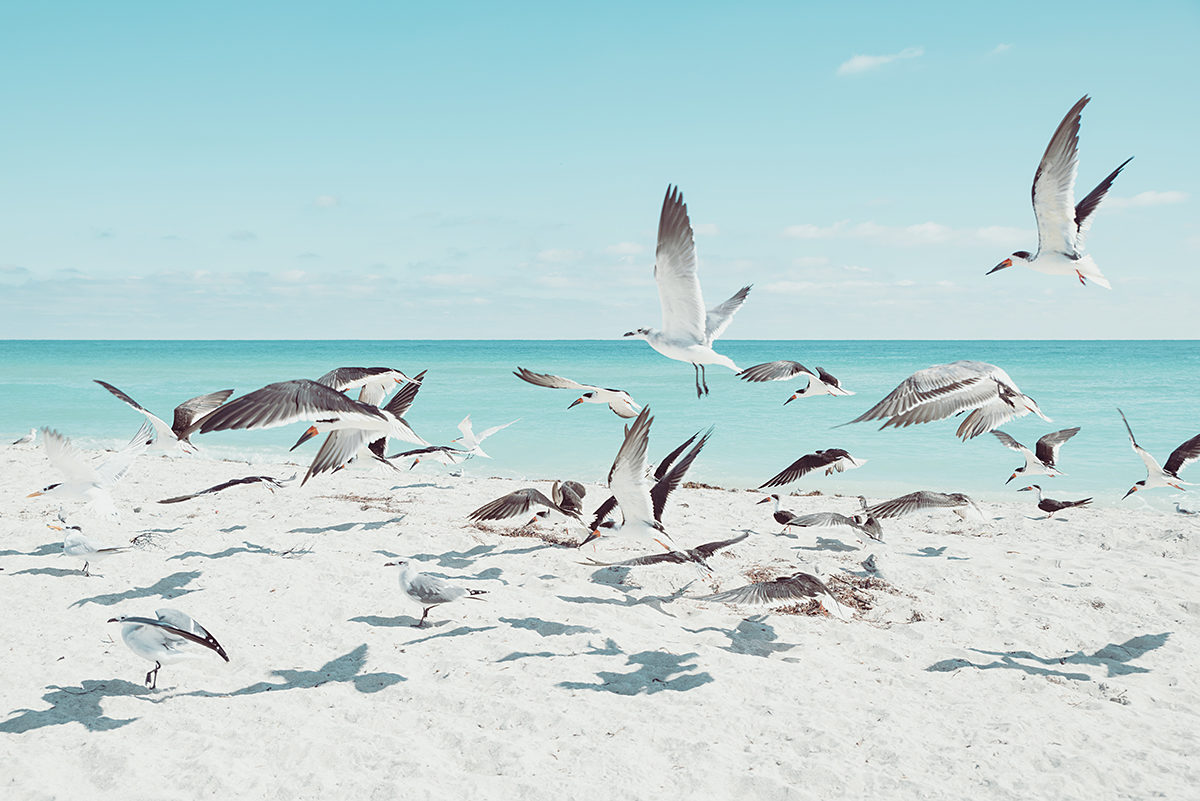 © David Behar