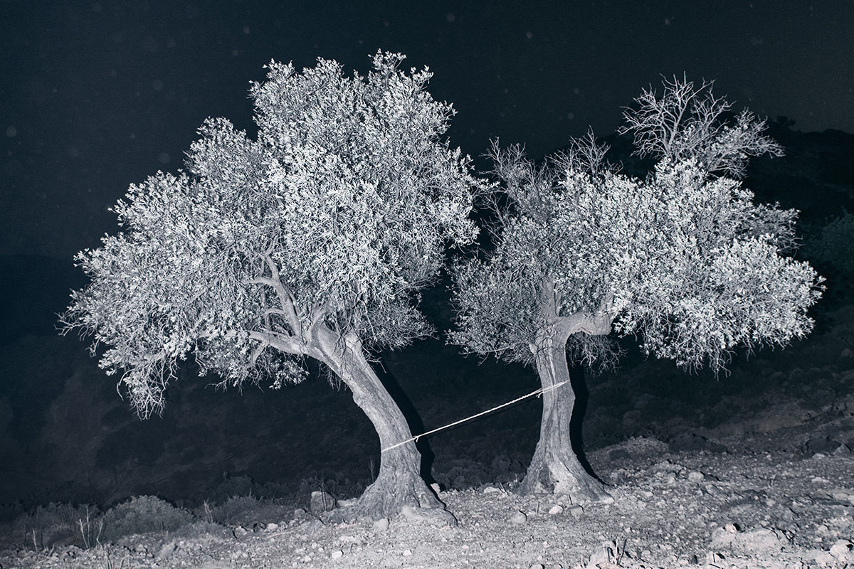 © Yorgos Yatromanolakis
