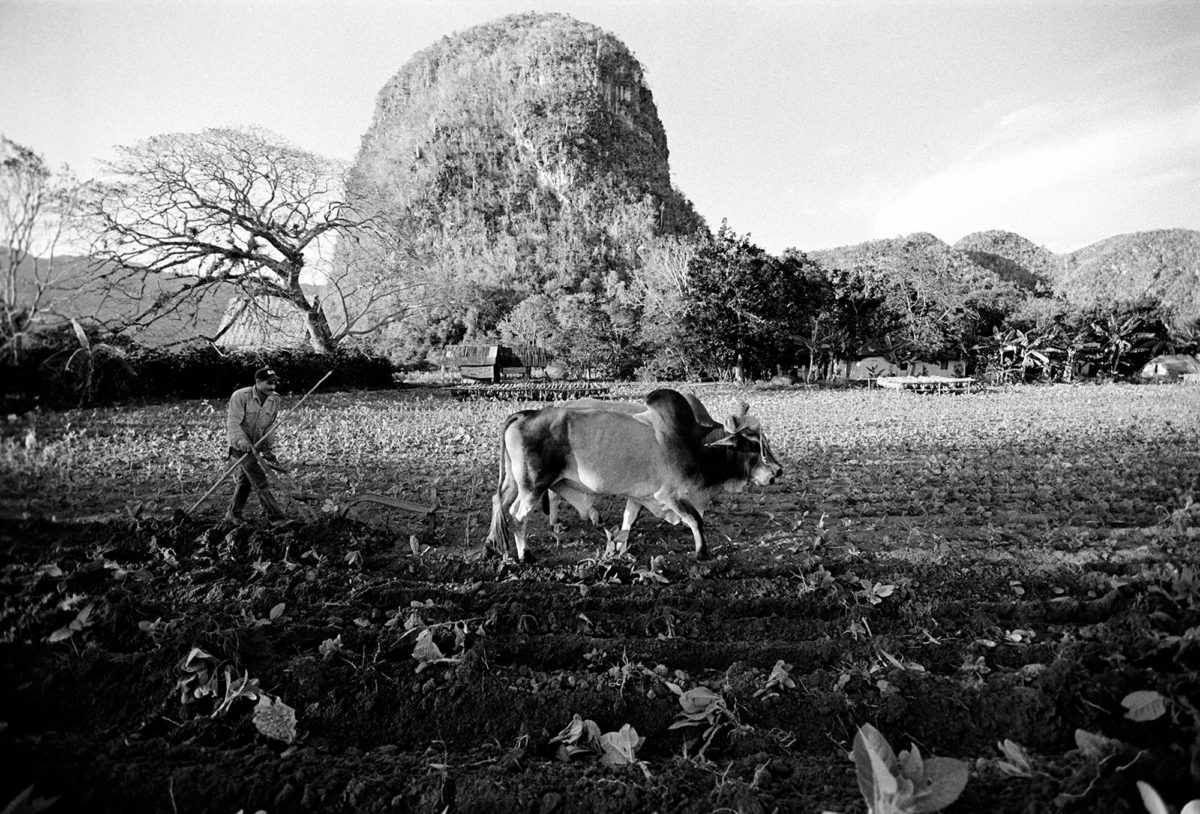 © Manuel Rivera Ortiz