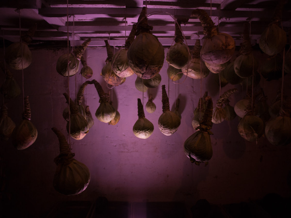 © Mary Gelman