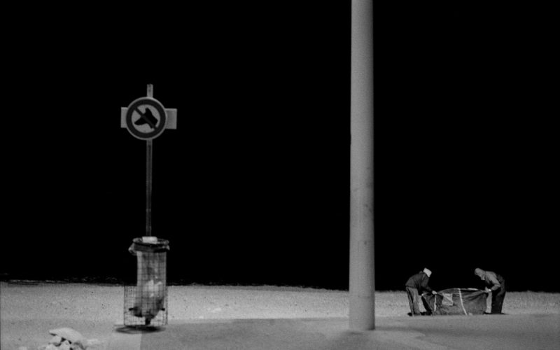 © Sophie Mourey