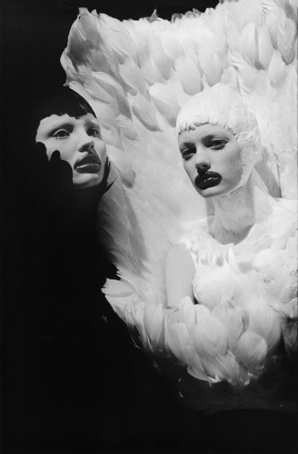 © Ann Ray