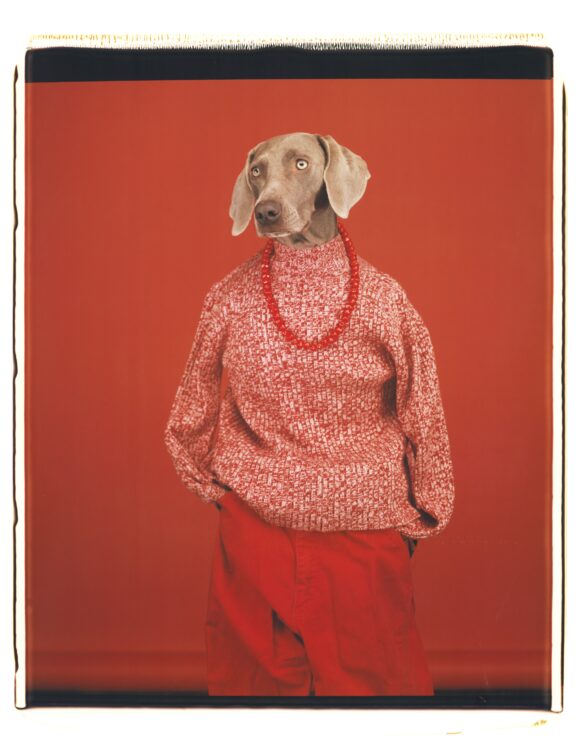 © William Wegman