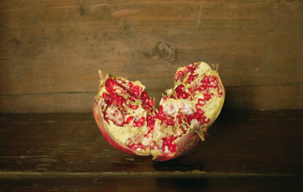 Grenade, série « Les Natures mortes », 2007 © Véronique Ellena