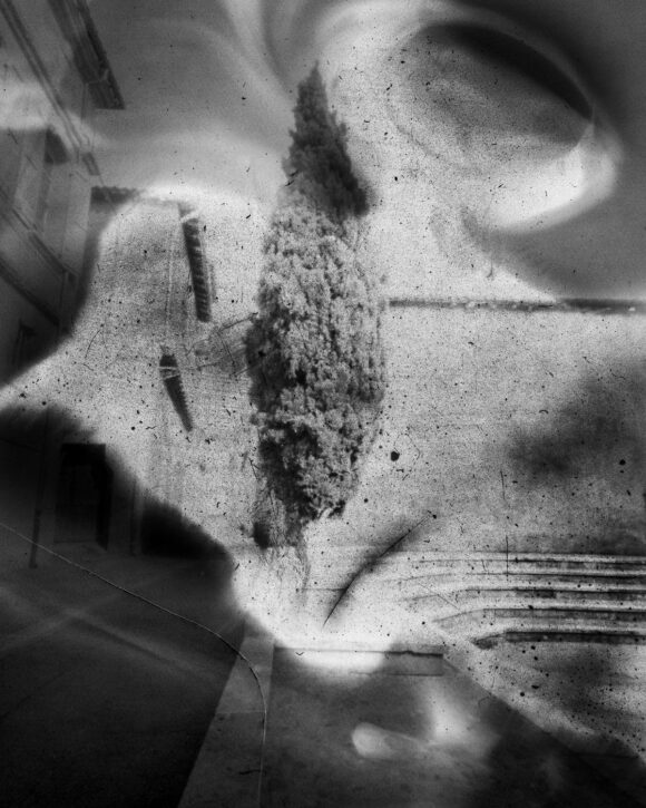 © Arno Brignon
