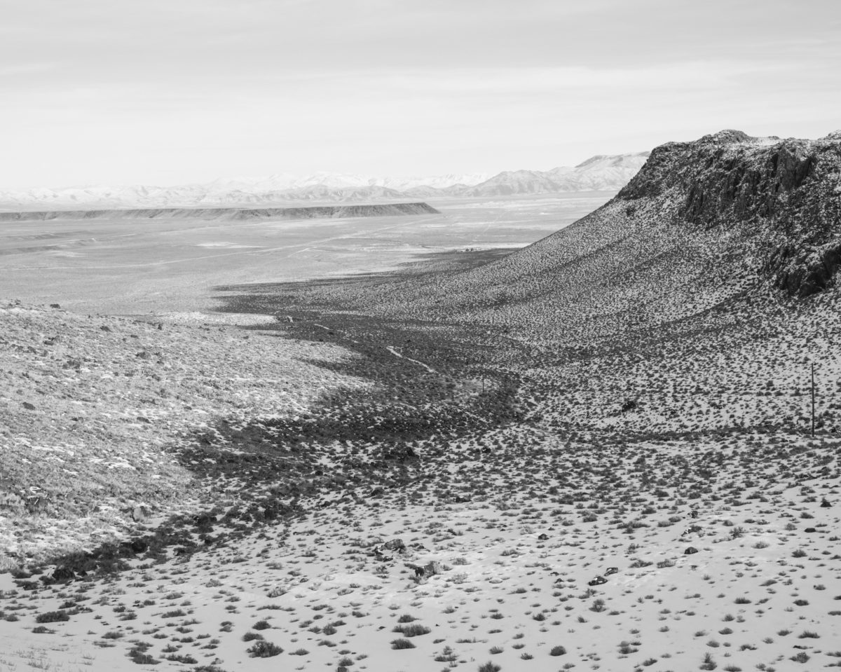© Garrett Grove