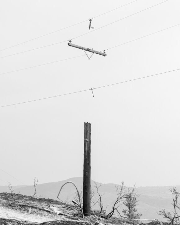 © Garrett Grove