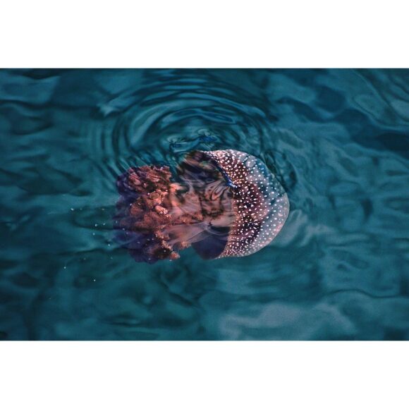 © Thomas Rmx / Instagram