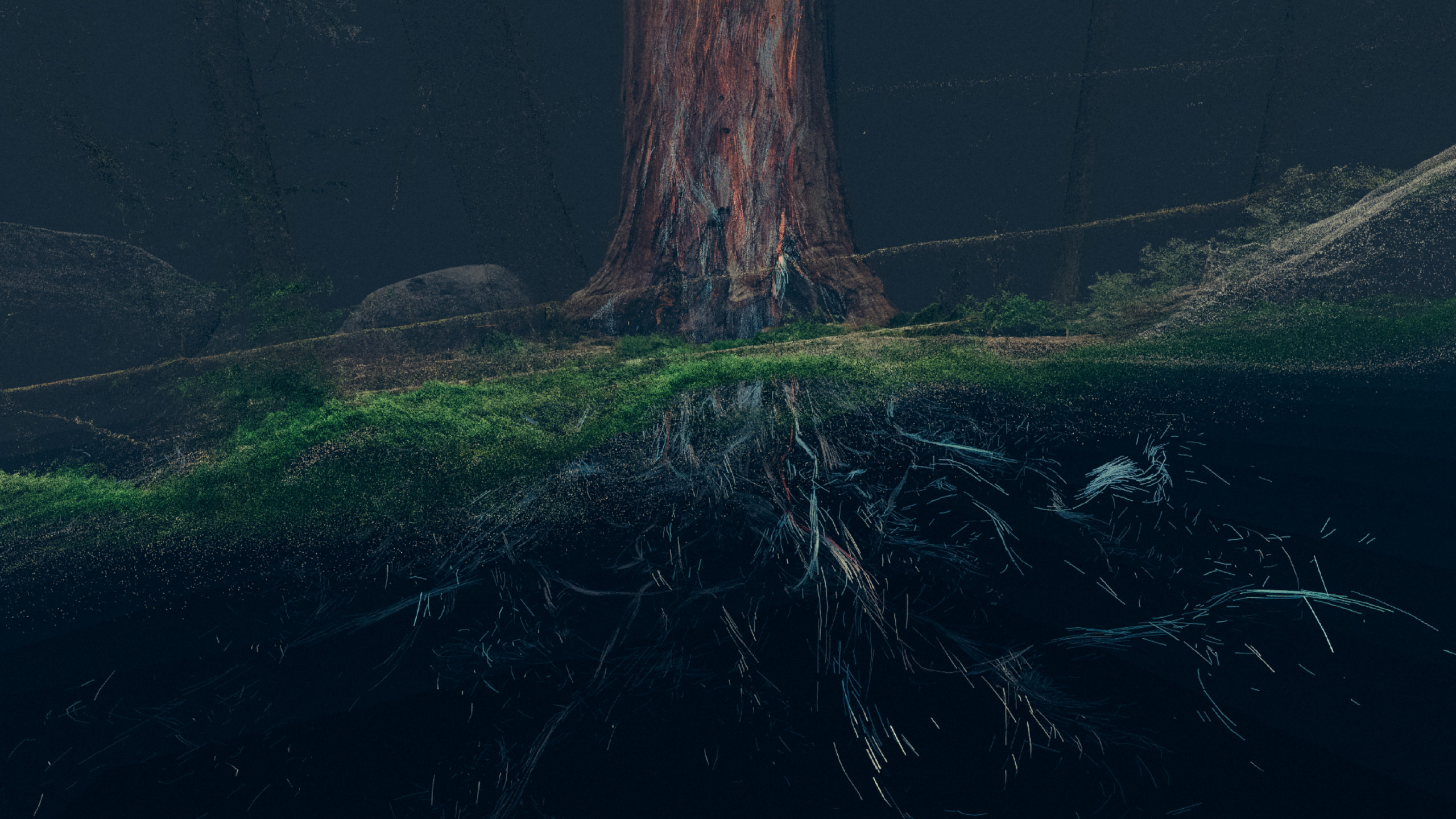 Treehugger_Wawona_06