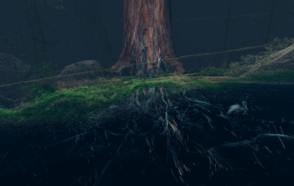Treehugger_Wawona_06