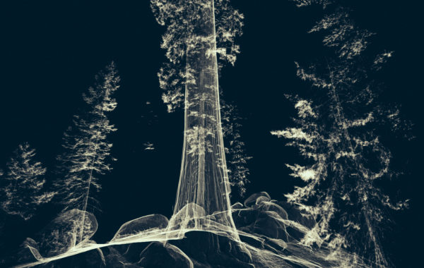 Treehugger_Wawona_21