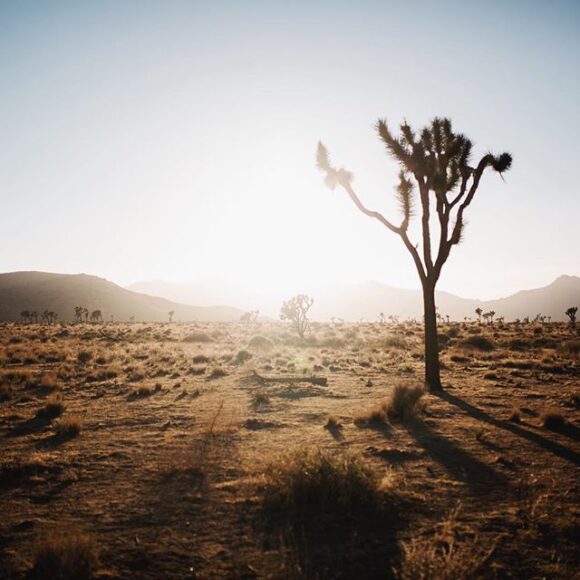 © Eliott Fournié / Instagram
