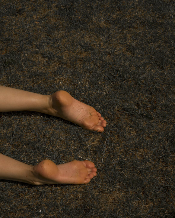 © Desiré van den Berg