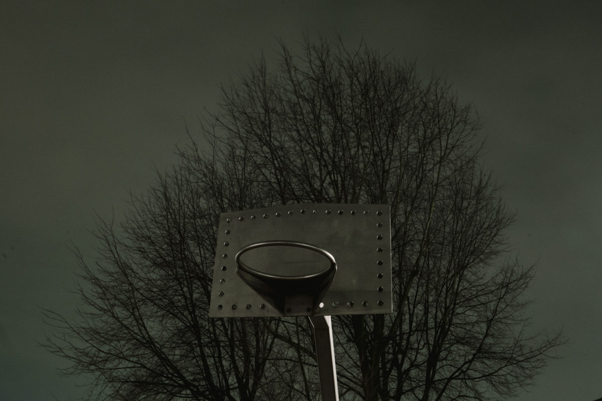© Desiré van den Berg