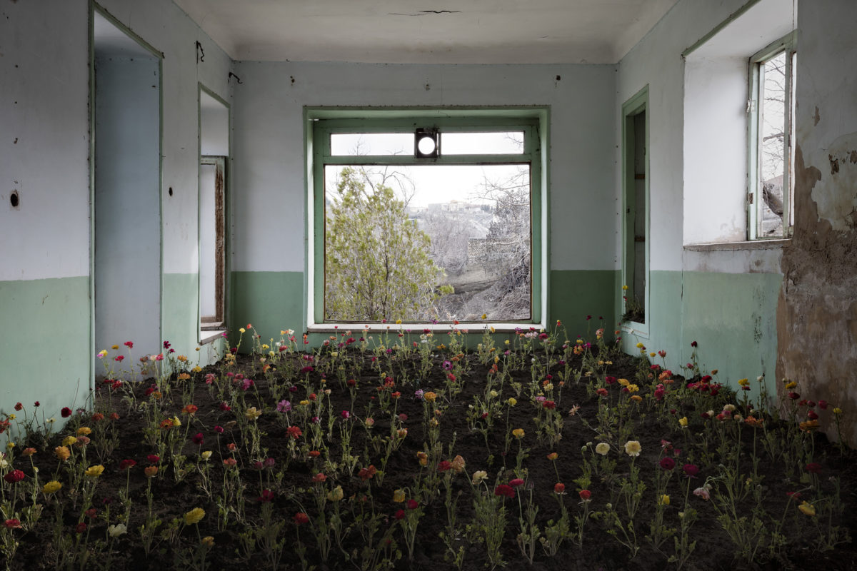 © Gohar Dashti