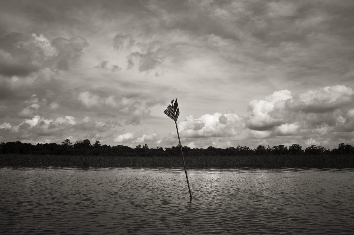 © Andrea Santolaya