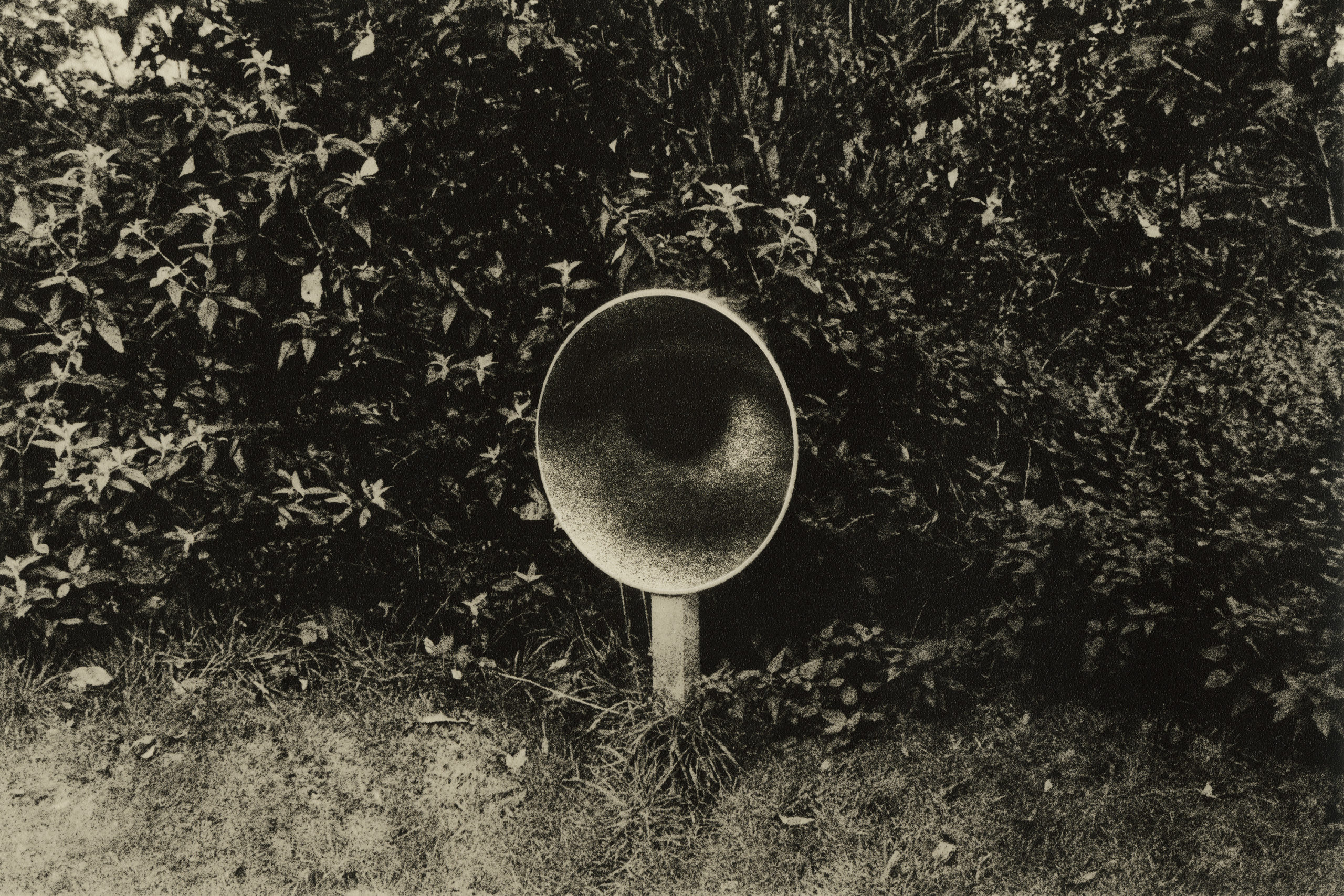 © Jérémy Saint-Peyre