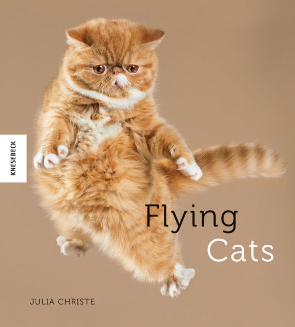 191-3_cover_flying-cats_2d_web