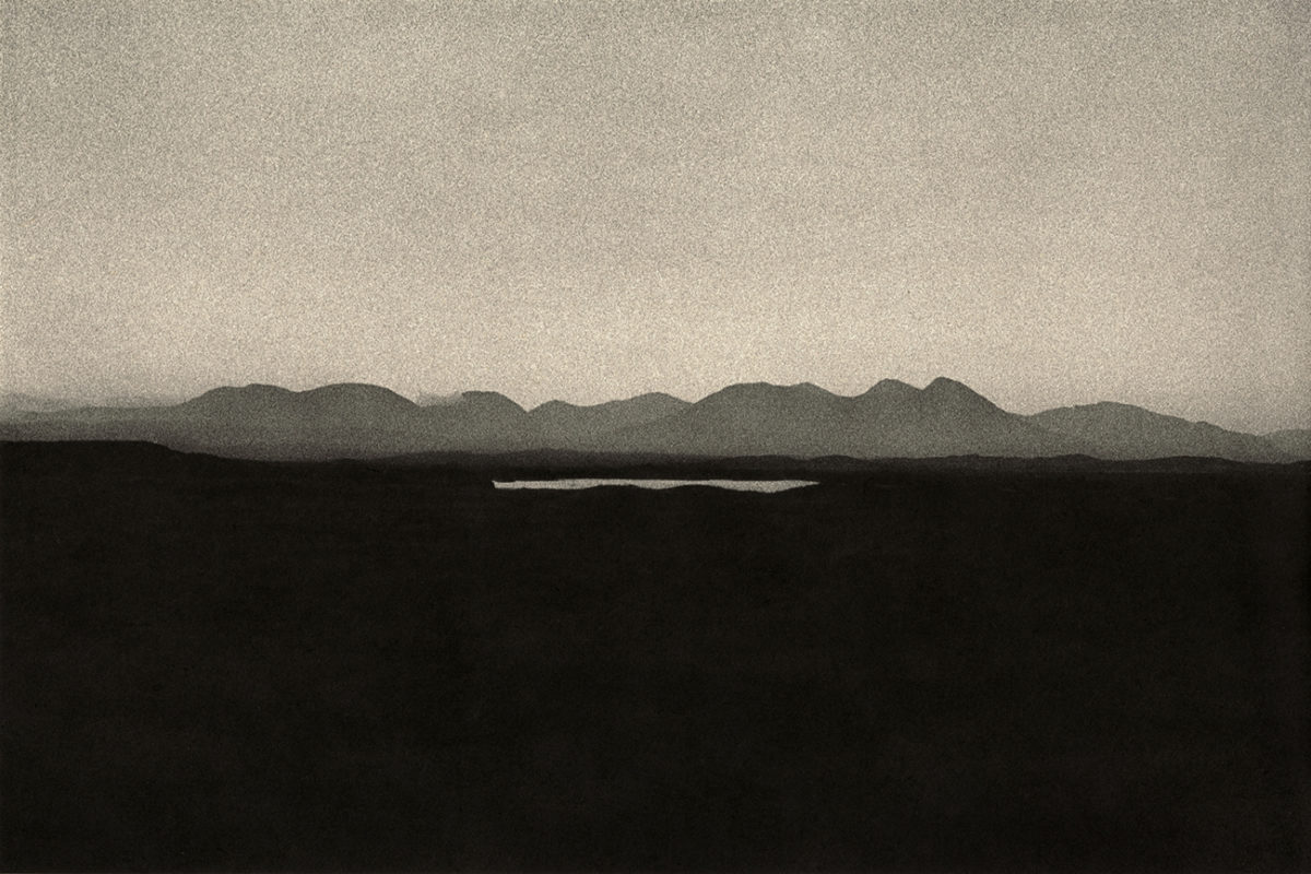 © Dominic Turner