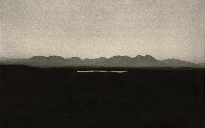 © Dominic Turner