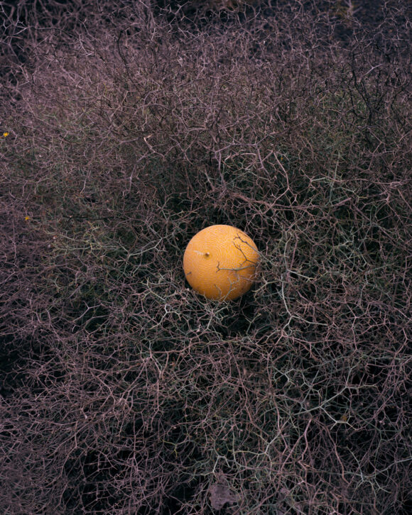 © Elsa & Johanna