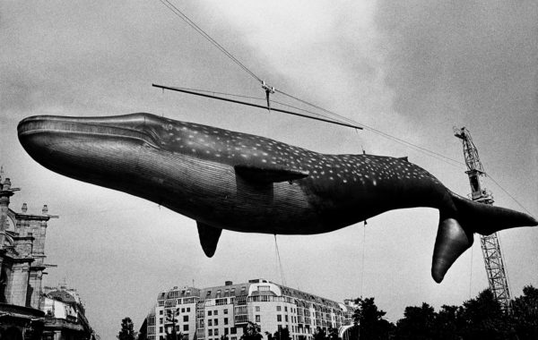 © Daido Moriyama / Courtesy of Akio Nagasawa Gallery