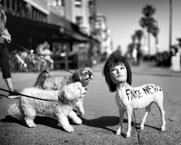 © Dotan Saguy
