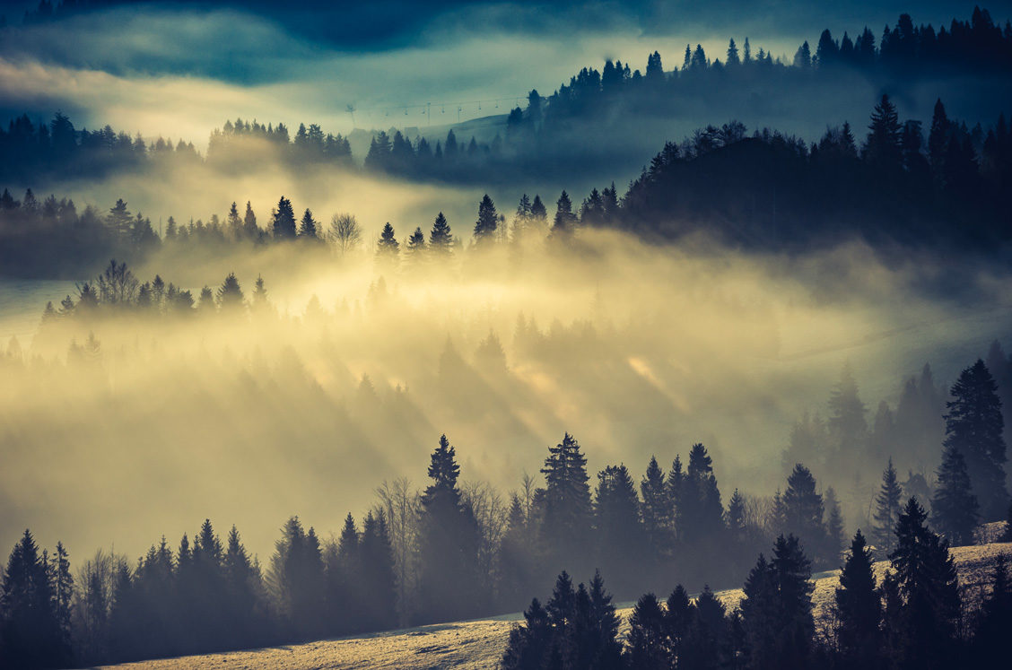 © Shutterstock / Tomasz Mazon.