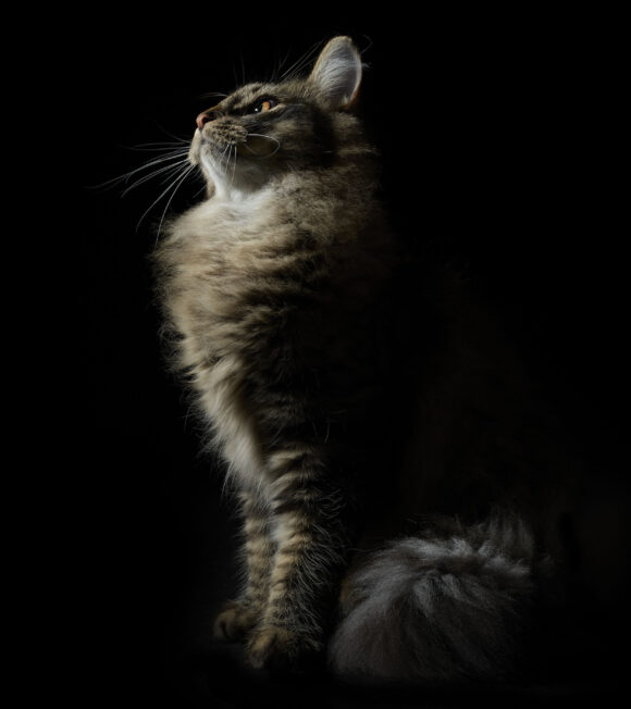 © Julia Christe