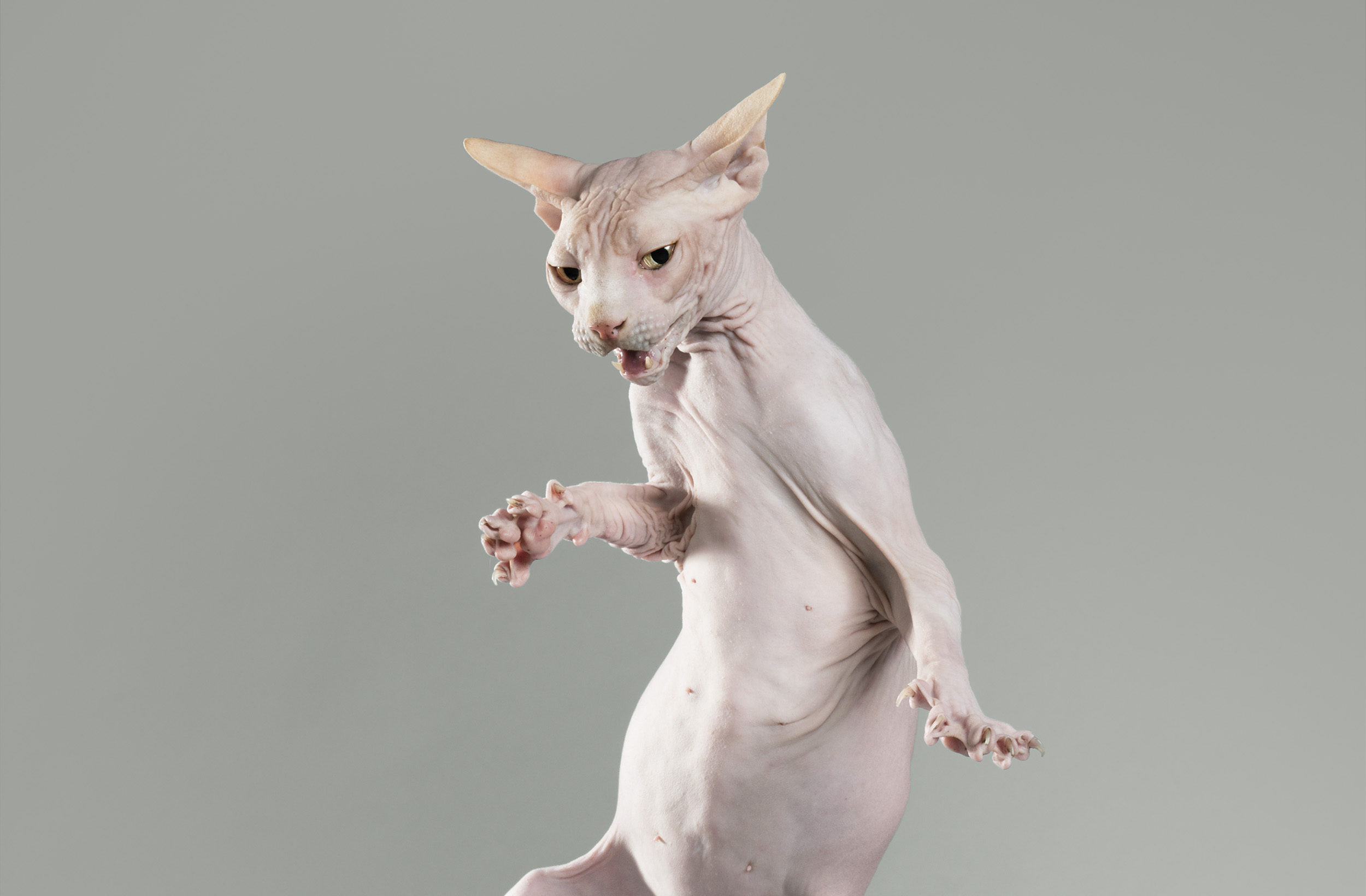 © Julia Christe