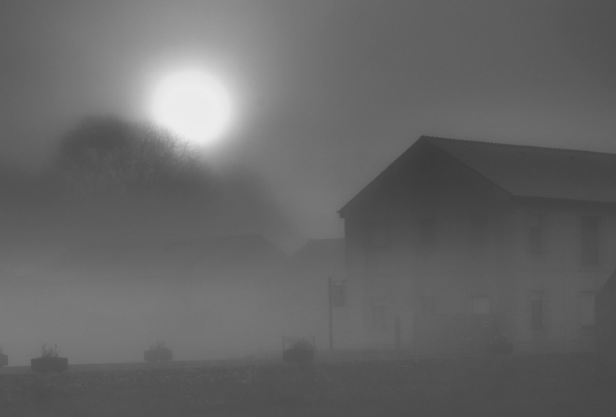 © Michel Daumergue