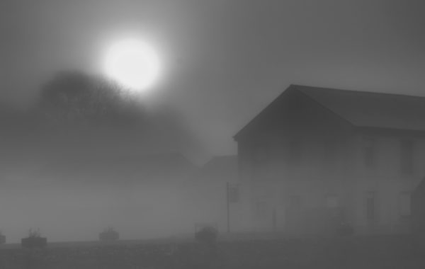 © Michel Daumergue