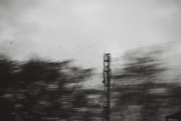 © Noirdebleu
